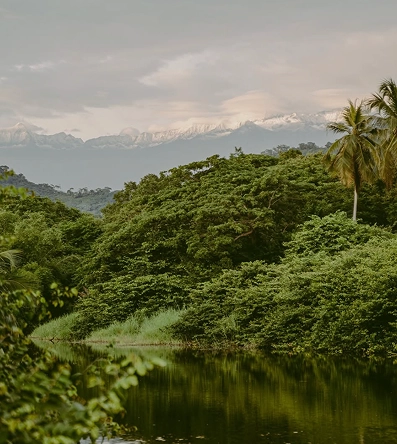 natuarelaza